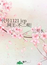 代号1121 |cp.网王-不二观|