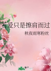 《若爱只是擦肩而过》