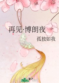 再见·博朗夜