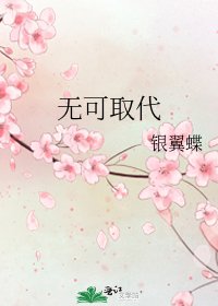 《无可取代》
