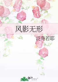 《风影无形》