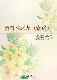 《勇者斗恶龙(索路)》