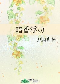 《暗香浮动》
