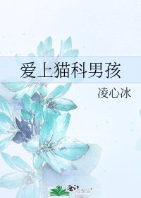 《爱上猫科男孩》