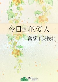 今日起的爱人