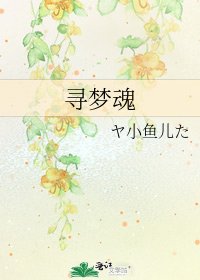 《寻梦魂》