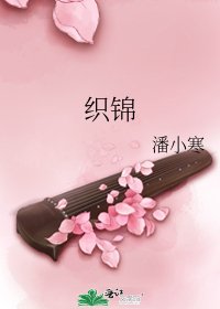 《织锦》