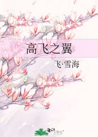 《高飞之翼》