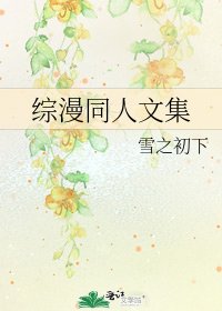 《综漫同人文集》