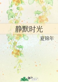 静默时光