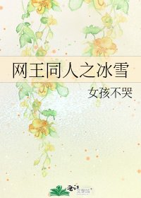 《网王同人之冰雪》