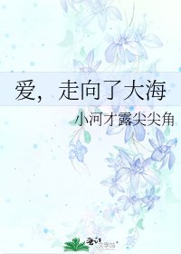 《爱,走向了大海》