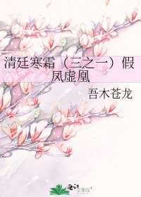 《清廷寒霜(三之一)假凤虚凰》