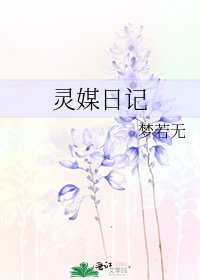 《灵媒日记》