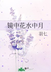 《镜中花水中月》