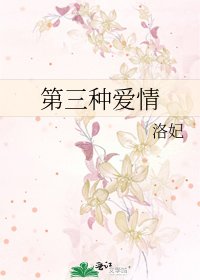 第三种爱情