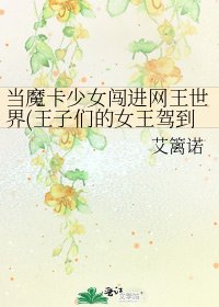 《当魔卡少女闯进网王世界(王子们的女王驾到)》