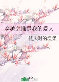 穿越之谁是我的爱人