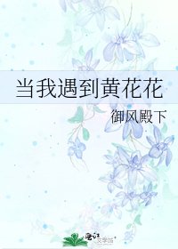 《当我遇到黄花花》