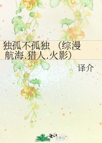 独孤不孤独 (综漫 航海.猎人.火影)
