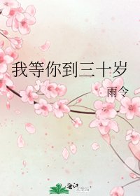《我等你到三十岁》