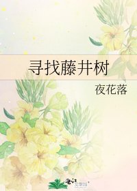《寻找藤井树》
