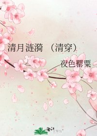 《清月涟漪 (清穿)》