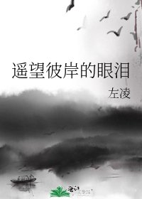 《遥望彼岸的眼泪》
