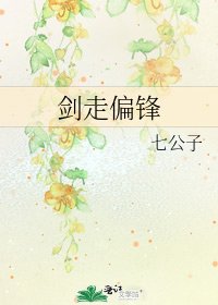 《剑走偏锋》
