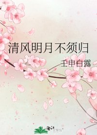 清风明月不须归