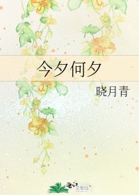 《今夕何夕》