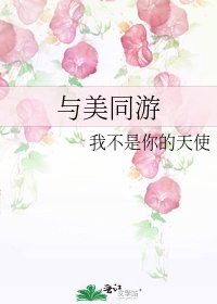 与美同游
