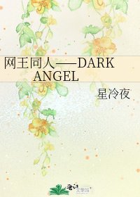 《网王同人——DARK ANGEL》