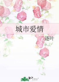 《城市爱情》