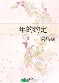 《一年的约定》