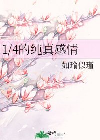 1/4的纯真感情