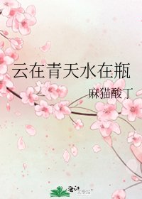 云在青天水在瓶