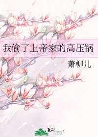 我偷了上帝家的高压锅