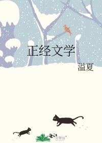 正经文学