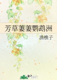 《芳草萋萋鹦鹉洲》