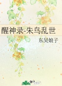 《醒神录-朱鸟乱世》