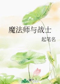 魔法师与战士