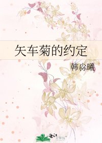 《矢车菊的约定》