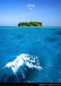 《人鱼与珊瑚海》