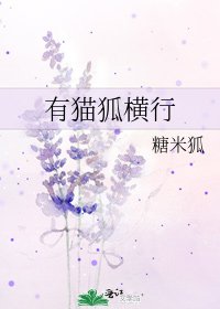 《有猫狐横行》