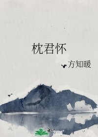 《枕君怀》