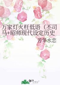 《万家灯火枉低语(丕司马+昭师现代设定历史线)》