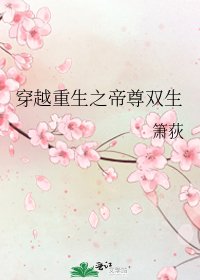 《穿越重生之帝尊双生》