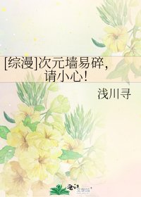 [综漫]次元墙易碎，请小心！