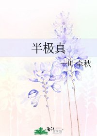 《半极真》